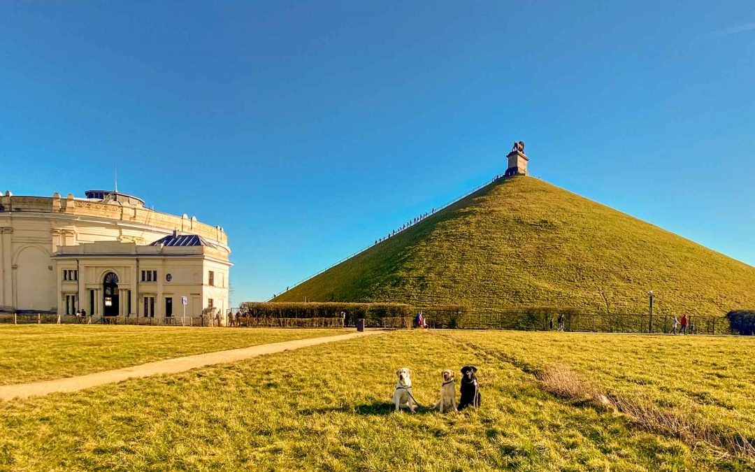 2021 | Met Jule op pad