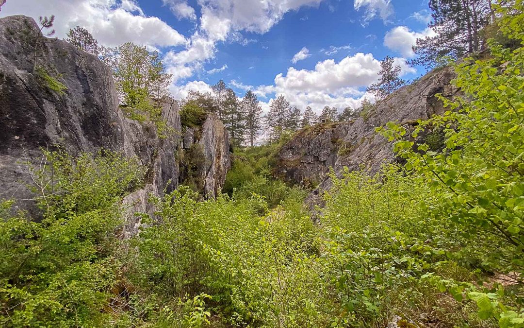 2021 | Dag 06. Fondry des Cheins
