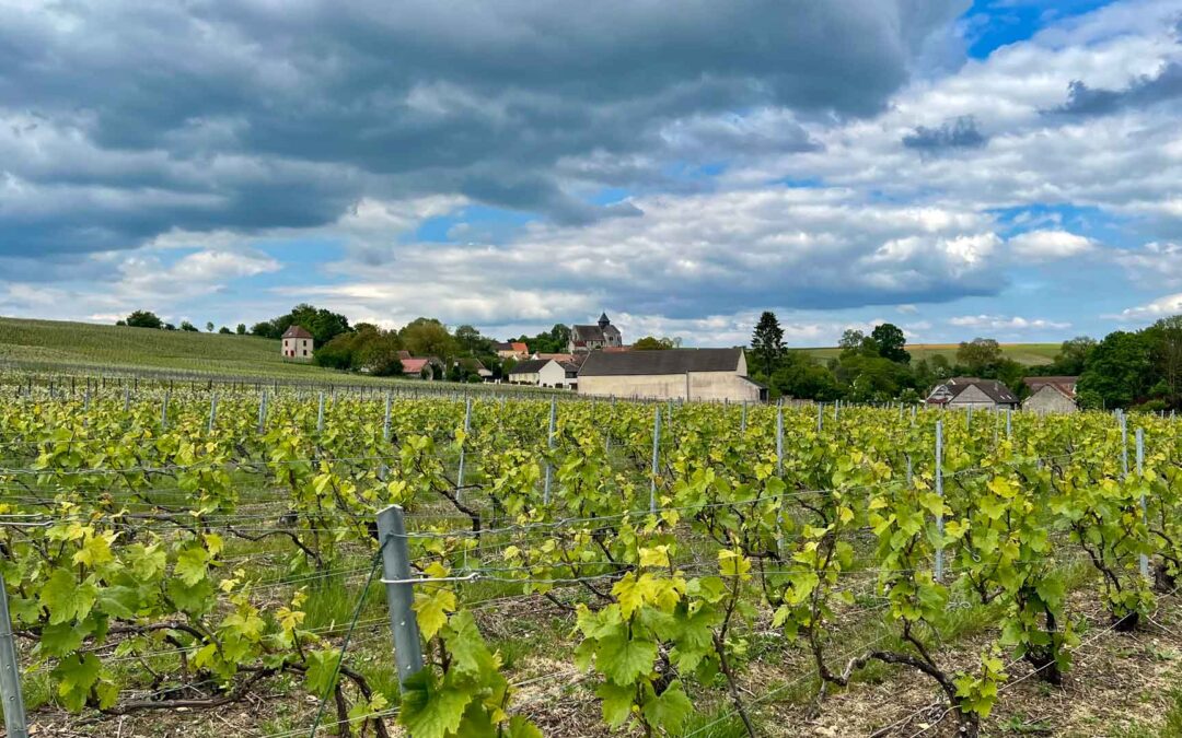 Dag 04 | Champagne, of toch niet?