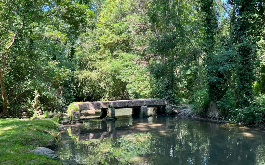 Dag 15 | Île de Ré