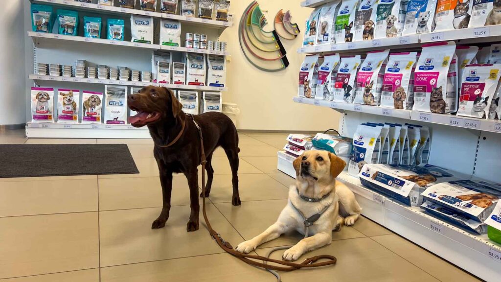 Estland Tallinn Dierenarts Stella Geeske Hymer Exsis-i 588 Route51