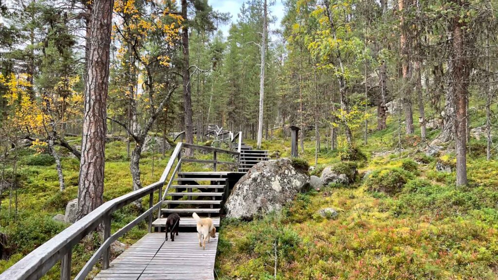 Finland Inari Sami Shop Wandelen Hymer Exsis-i 588 Route51