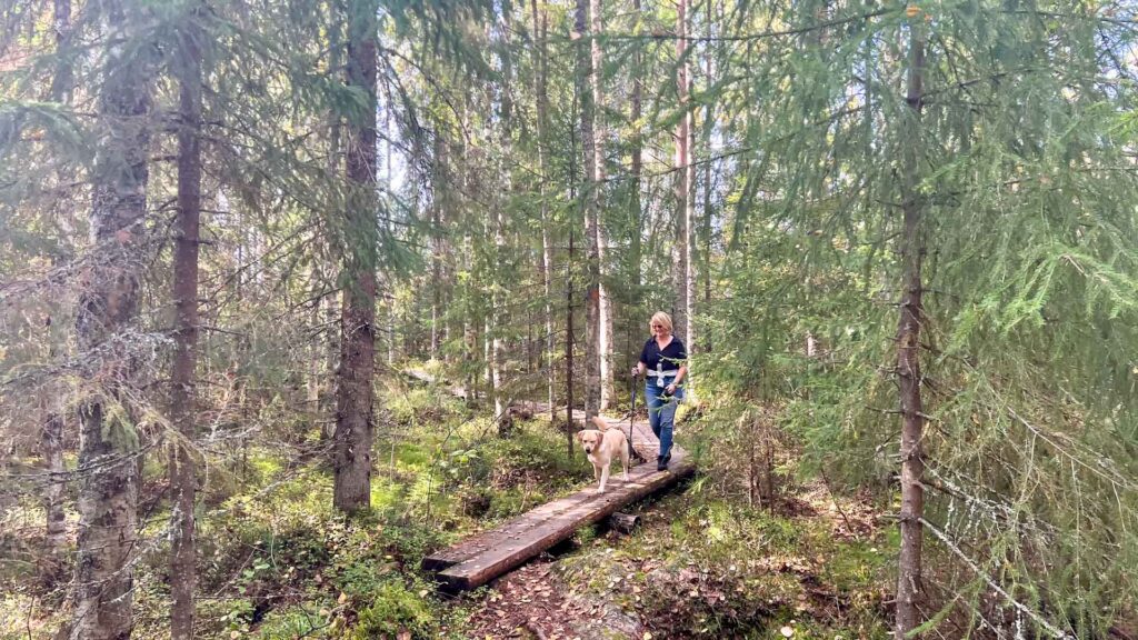Finland Pisa National Preserve Hike Jeannette Stella Hymer Exsis-i 588 Route51