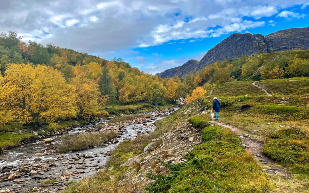 Dag 17 | Langfjordbotn