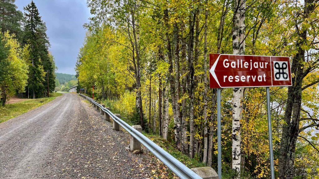 Zweden Gallejaur Reservat Sign Hymer Exsis-i 588 Route51