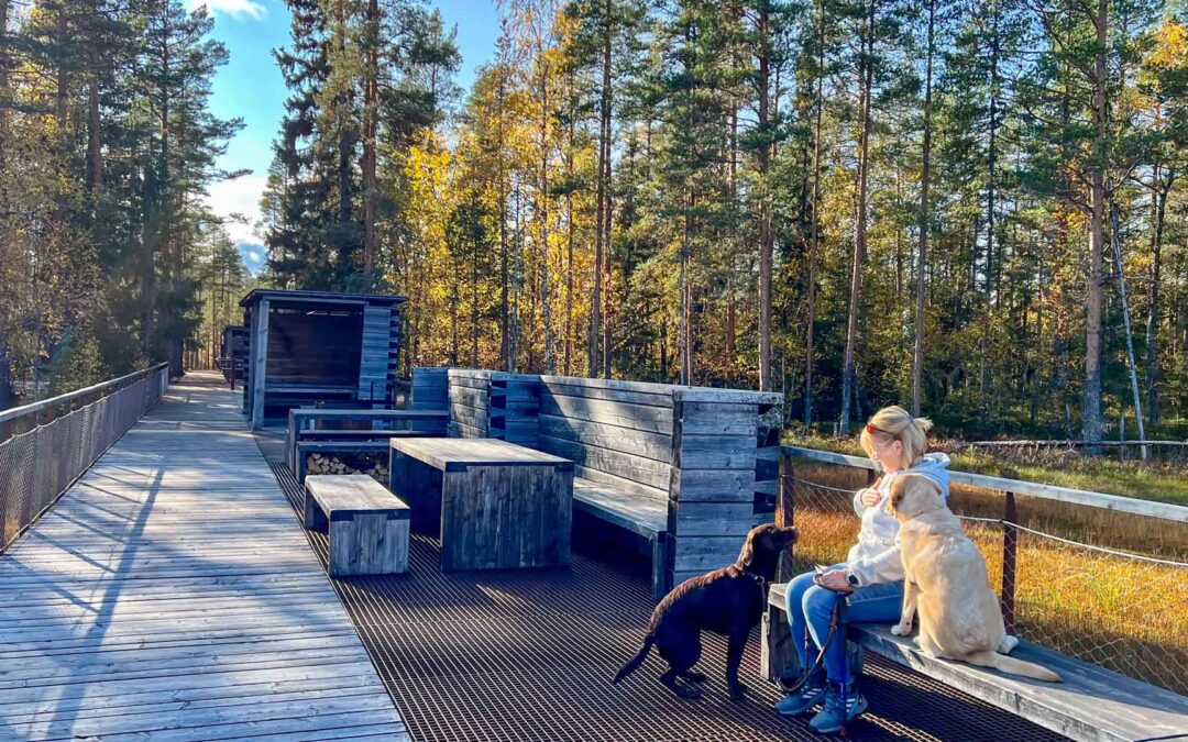 Dag 28 | Hamra nationalpark