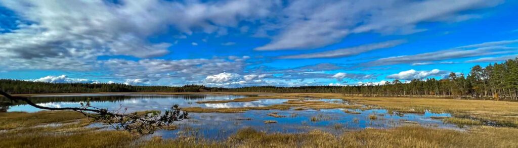 Zweden Hamra Nationalpark Panorama Hymer Exsis-i 588 Route51