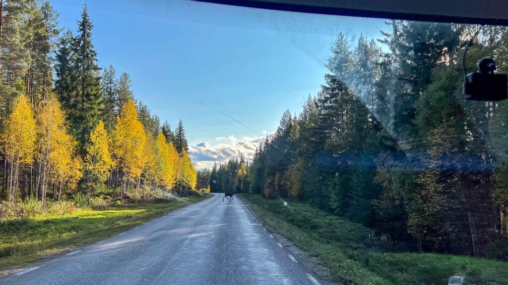 Zweden Overbo Moose Hymer Exsis-i 588 Route51