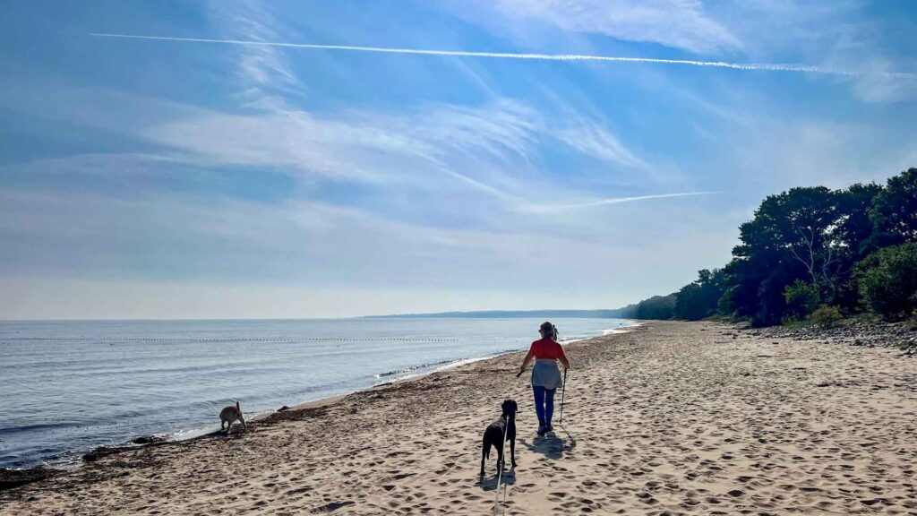 Zweden Stenshuved National Park Strand Hymer Exsis-i 588 Route51