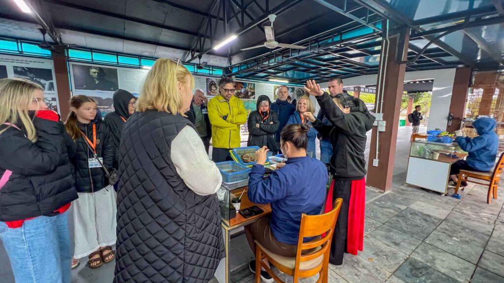 Vietnam Ha Long Oester Pearls 6Only