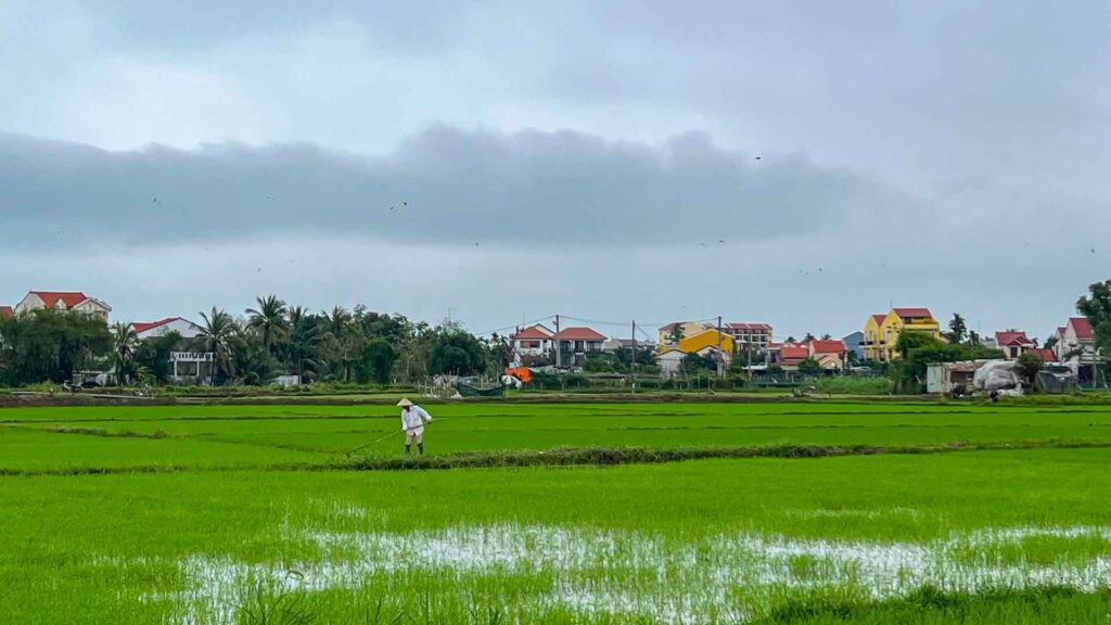 Vietnam Hoi An Rijstvelden Fietstocht 6Only