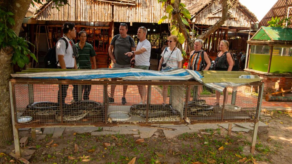 Vietnam Mekong Delta Cobra 6Only