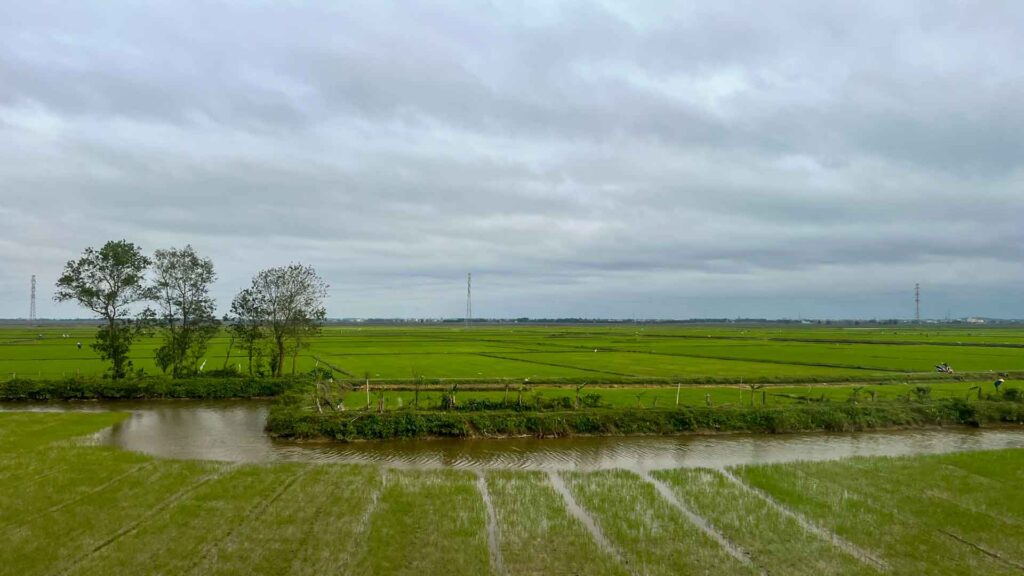 Vietnam Night Train Rijstvelden 6Only