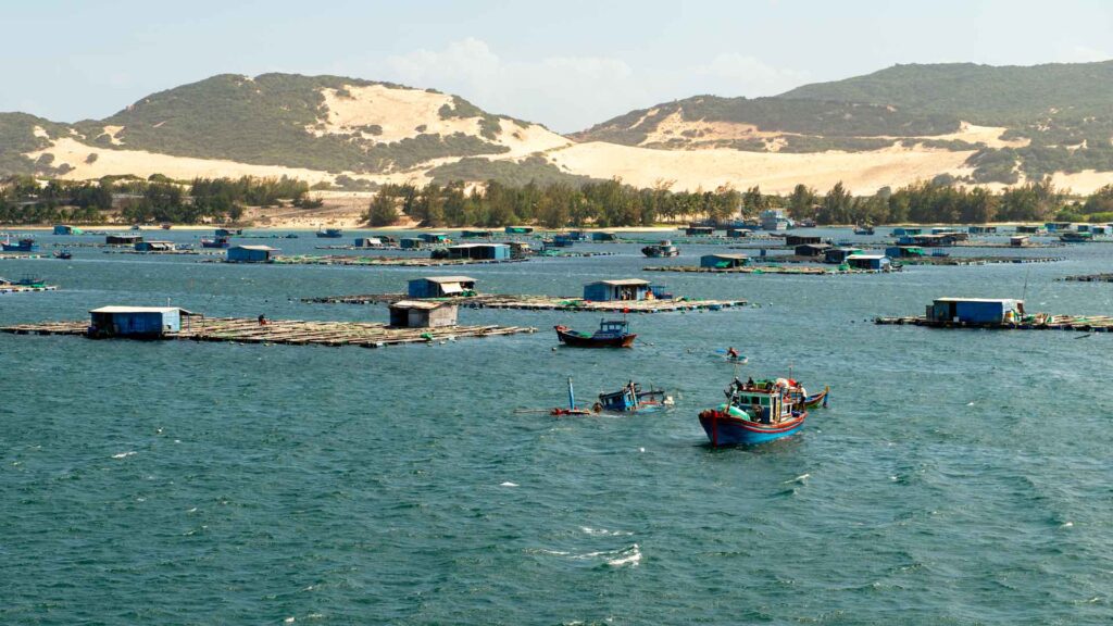 Vietnam Whale Island Boot Sinking 6Only