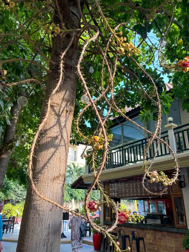 Cambodja Battambang Classy Hotel Boom 6Only