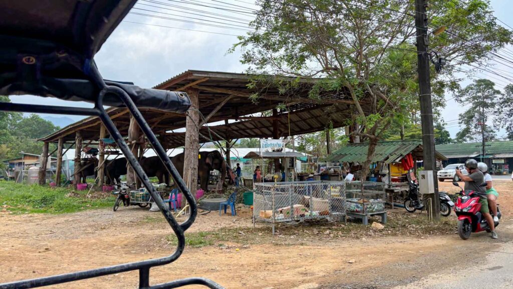 Thailand Koh Chang Taxi Olifanten 6Only