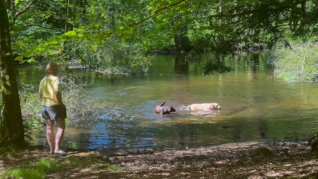 Denemarken Vejle Stella Geeske Zwemmen Hymer Exsis-I 588 Route51