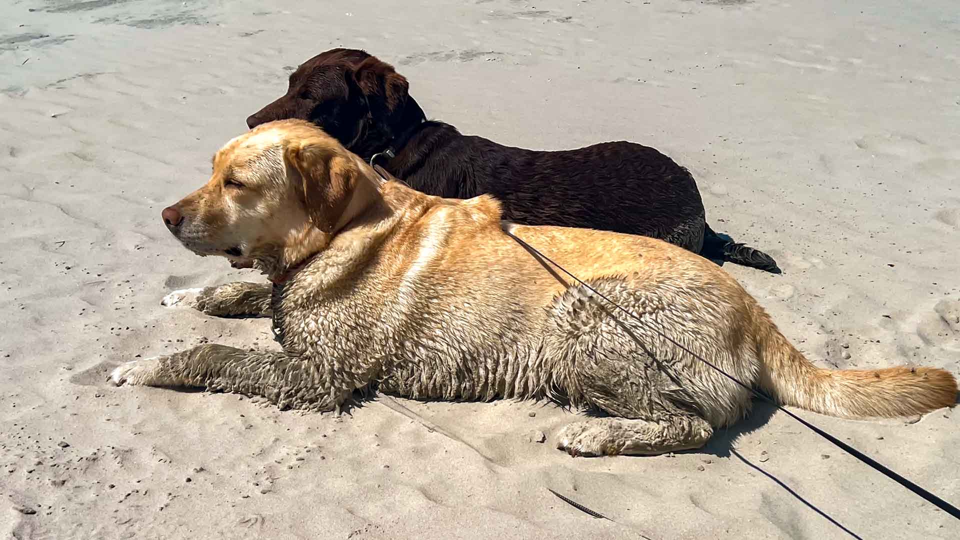 Duitsland Sankt Peter-Ording Strand Stella Geeske Hymer Exsis-I Route51 Duitsland Sankt Peter-Ording Strand Stella Geeske Hymer Exsis-I Route51