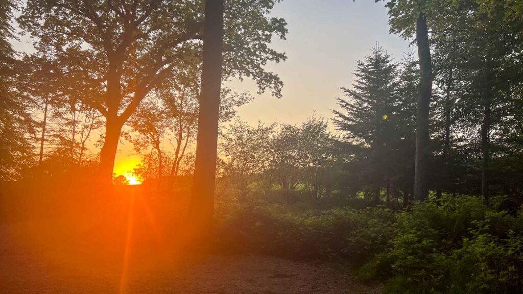 Denemarken Hejls Sunset Hymer Exsis-I 588 Route51