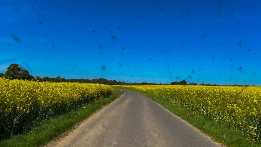 Denemarken Margriet Route Koolzaad Hymer Exsis-I 588 Route51
