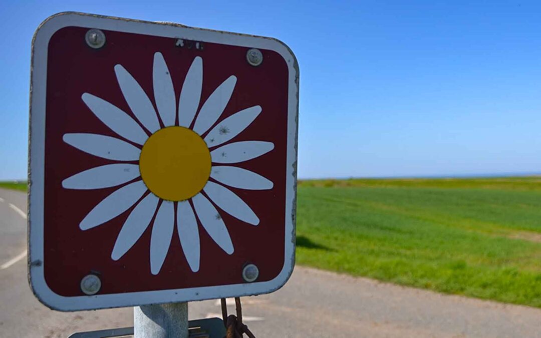 Dag 09 | De Margriet route