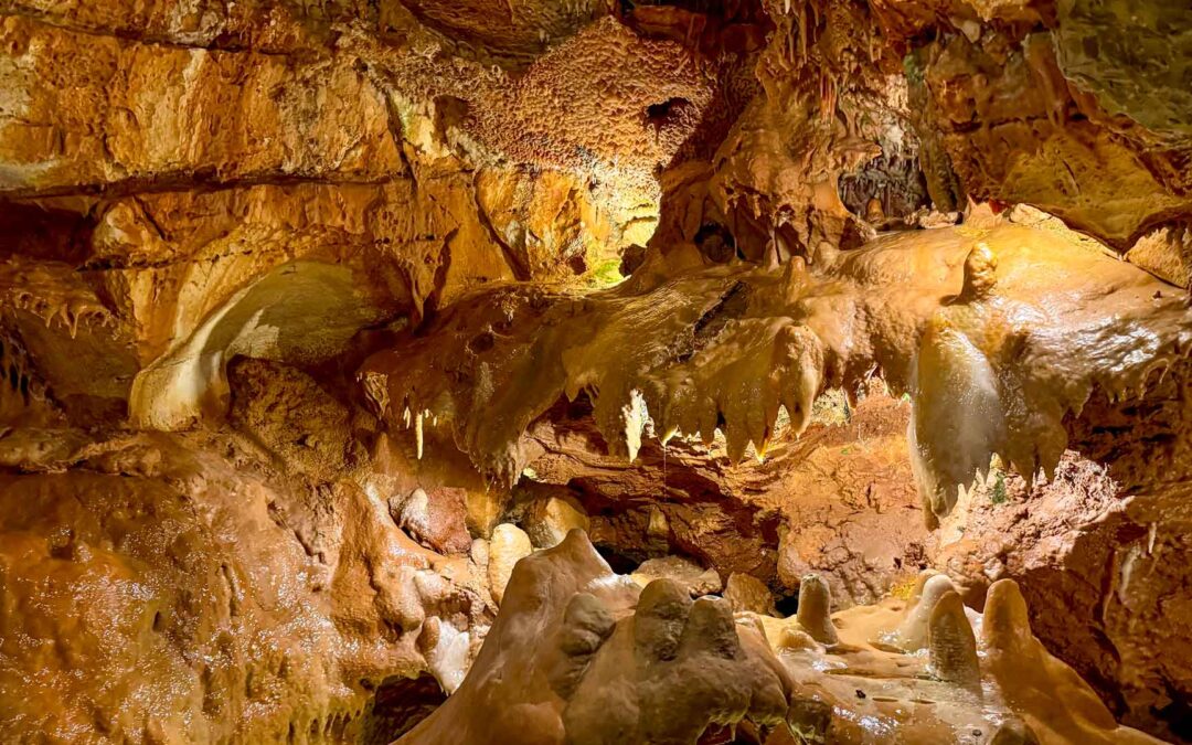 Dag 21 | Geografisch middelpunt Portugal