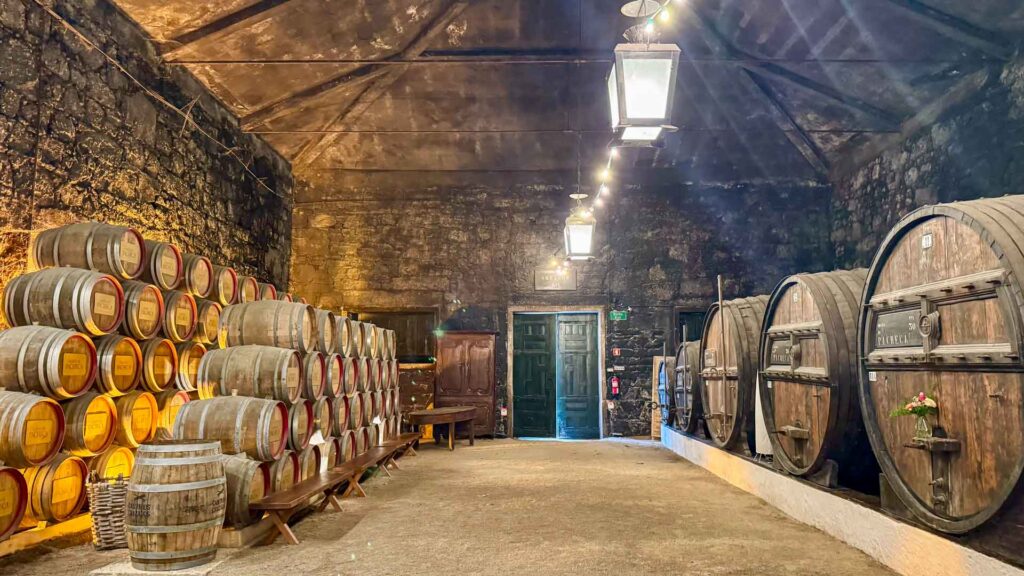 Portugal Quinta da Pacheca Wijnvaten Jansen-Arts Hymer Exsis-I 588 Route51