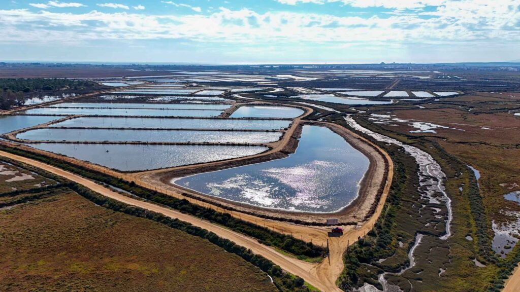 Spanje Ayamonte The Owl Zoutplantage Jansen-Arts Hymer Exsis-I 588 Route51