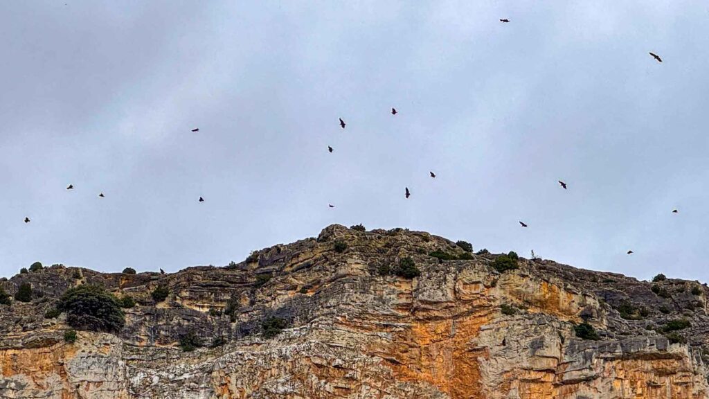 Spanje Calomarde Gieren Jansen-Arts Hymer Exsis-I 588 Route51