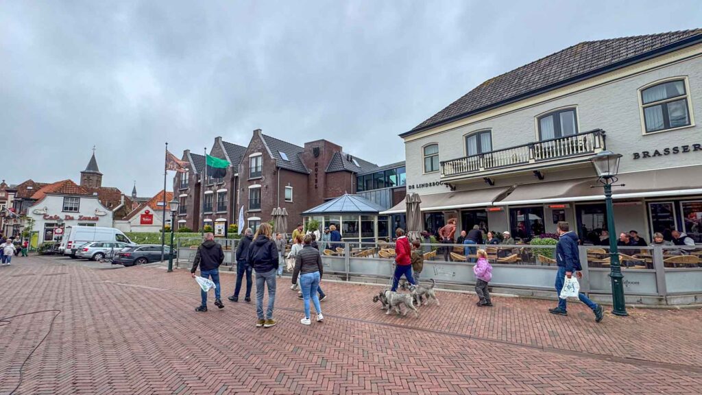 Nederland Texel Den Burg De Lindeboom Westfalia Kelsey Route51