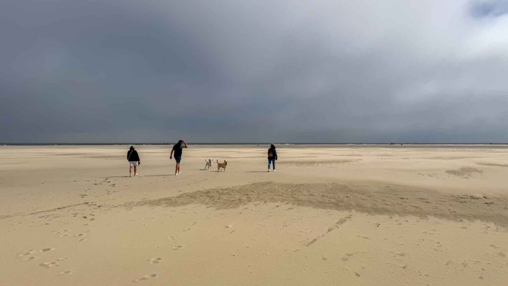 Nederland Texel Strand Vuurtoren Westfalia Kelsey Route51