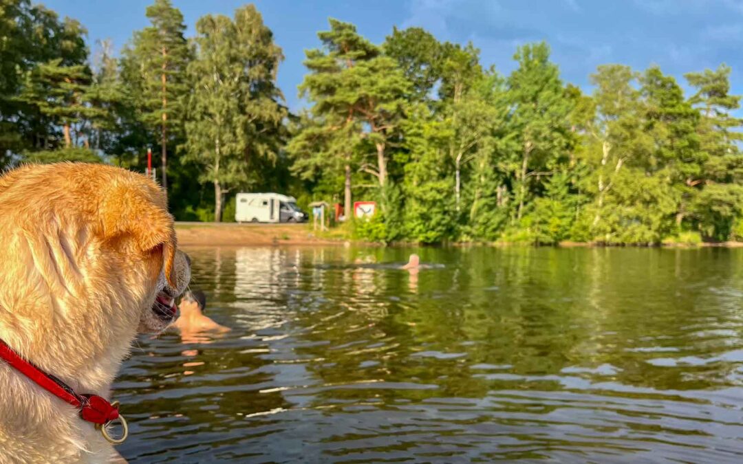 Dag 05 | Sjönevadssjön