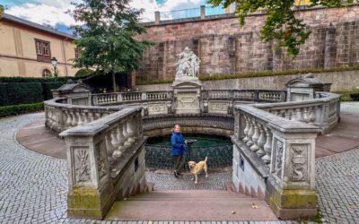 Dag 03 | Donaueschingen