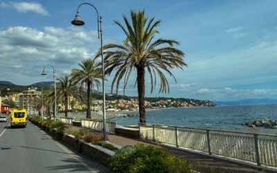 Dag 07 | Pro-Palastina rond de bloemenriviera