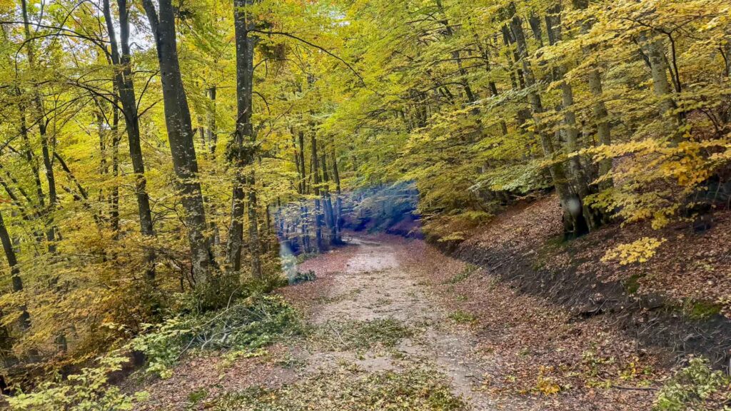 Kosovo Onverharde Bos Hymer ML-T-570 4x4 Offroad Offgrid Route51