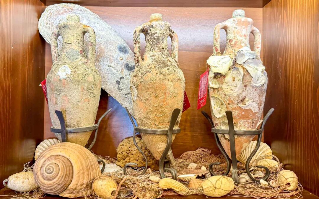 Dag 24 | Edivo Winery