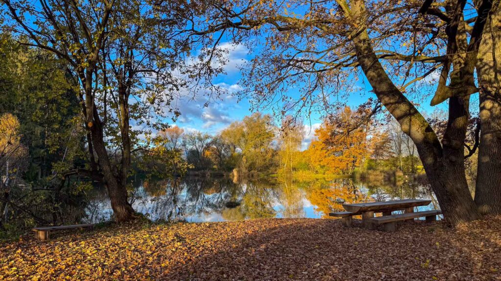 Uitzicht op de visvijver bij de camperplaats in Weißkirchen in Steiermark, Oostenrijk