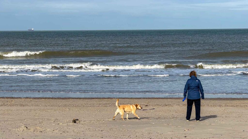 Jeannette en Stella wandelen op het strand bij Domburg