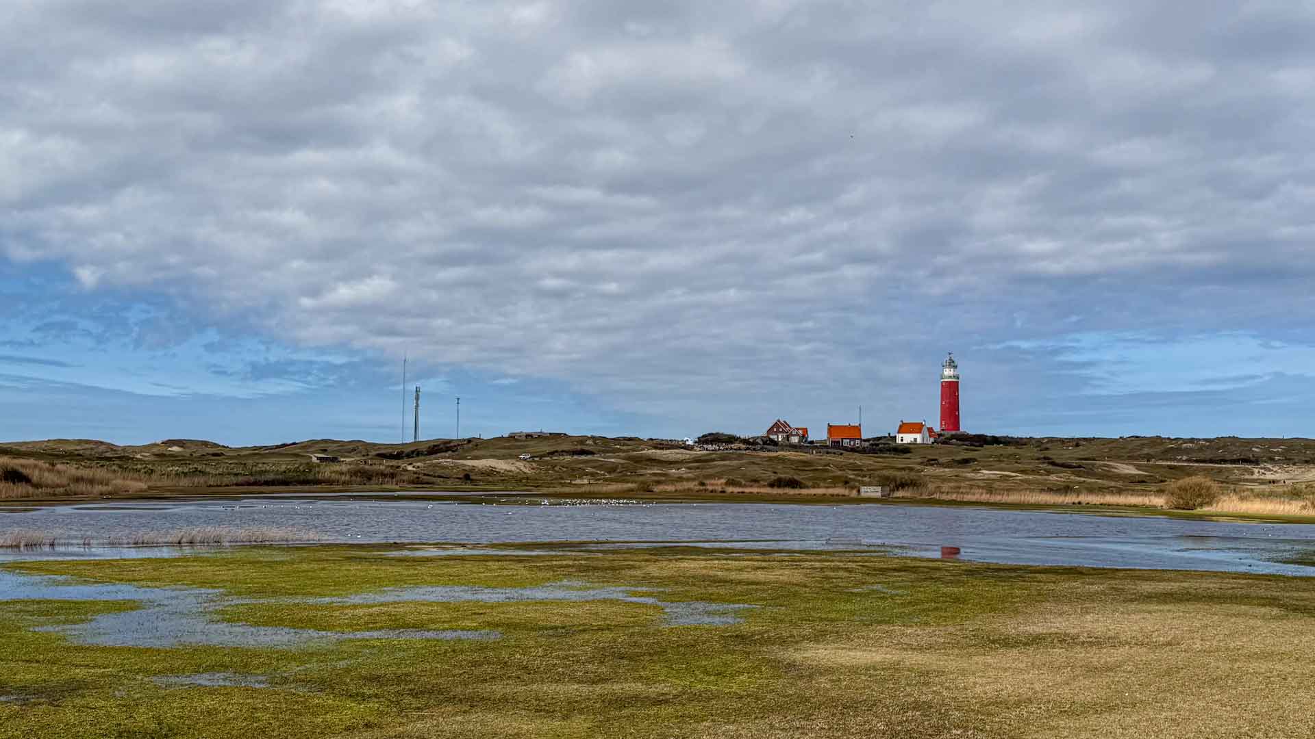 Uitzicht vanuit de duinen over het vogelgebied met de vuurtoren van De Cocksdorp op Texel