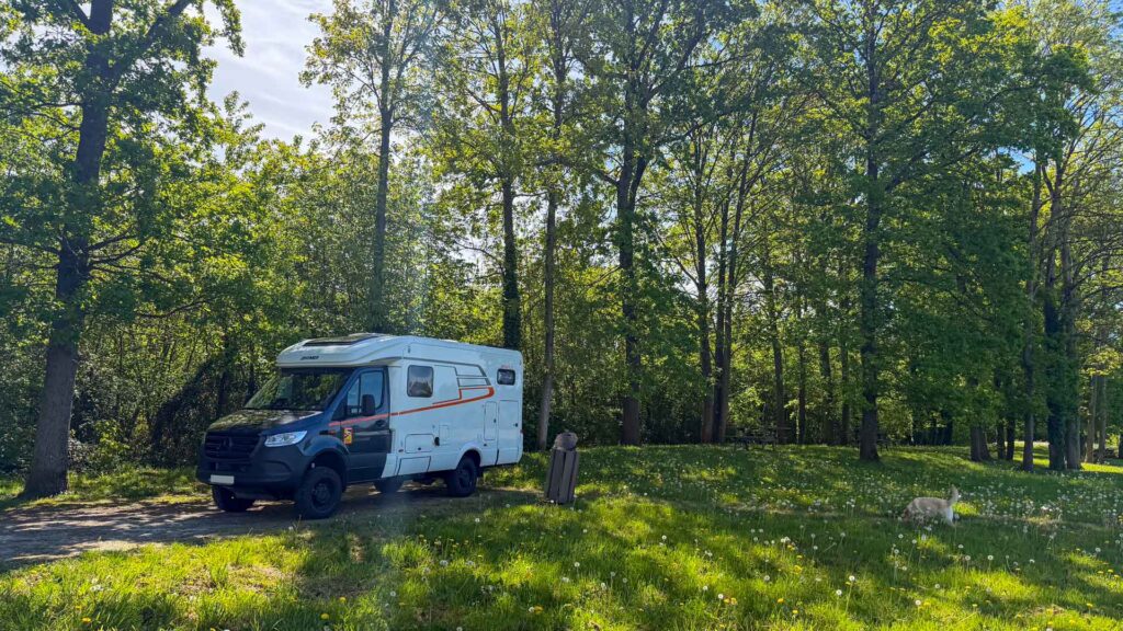 Picknickplek onder de bomen in Tourouvre-au-Perche tijdens de lunchstop op de Marokko camperreis 2026